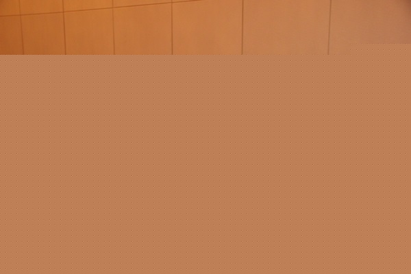 eae671e5bb2183260a7317c43816118a_1429256381_8292.jpg